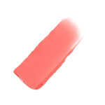 Fervor GT Blush Swatch PDP