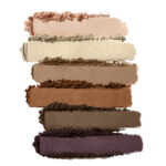 PurePressed Eye Shadow Kit 12 IC PurePressedEyeshadow Swatch 6well PureBasics 1710x2000 9189ee6e b360 4929 9226 bedd9bed1f84