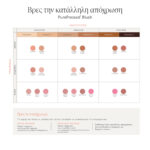 PPBlush SkinTone Chart PDP ελ6