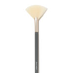 Fan Brush 5 Fan Brush